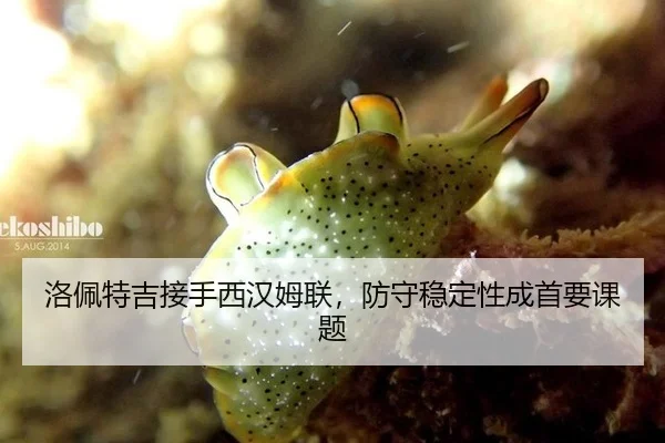 洛佩特吉接手西汉姆联，防守稳定性成首要课题