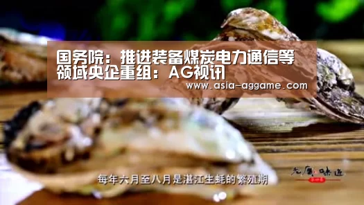 AG视讯