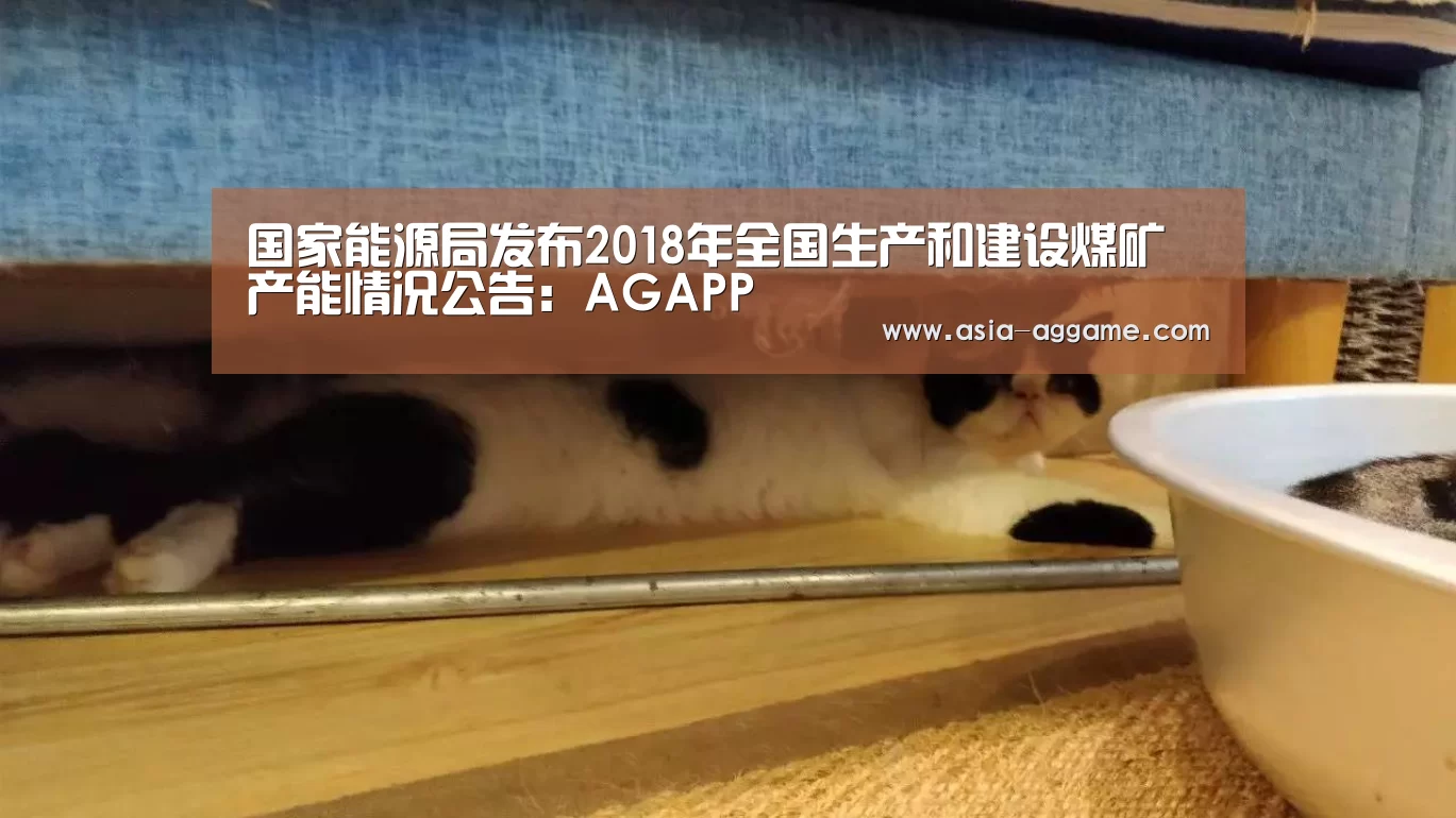 AG视讯