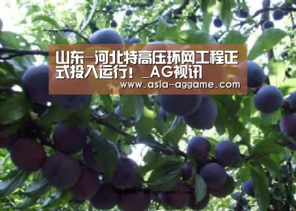 山东-河北特高压环网工程正式投入运行!_AG视讯(图3) 山东-河北特高压环网工程正式投入运行!_AG视讯(图3)