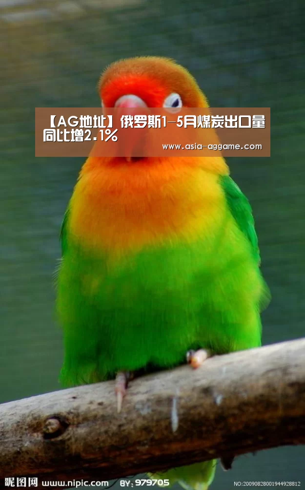 AG真人