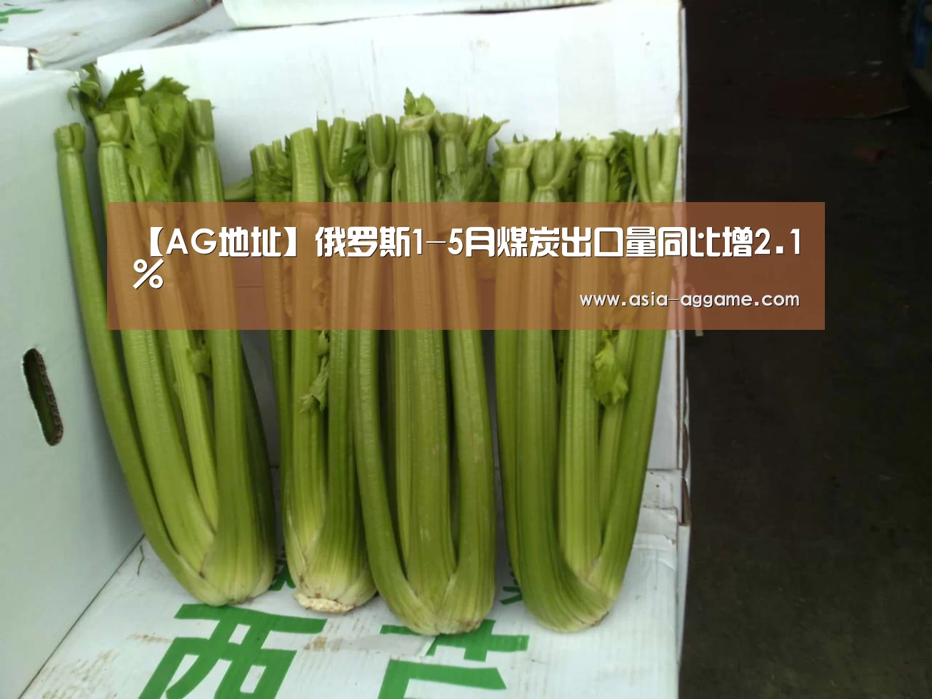 AG地址