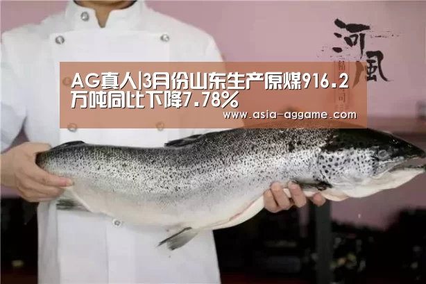 AG真人|3月份山东生产原煤916.2万吨同比下降7.78%(图2)