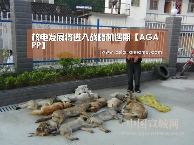 核电发展将进入战略机遇期【AGAPP】